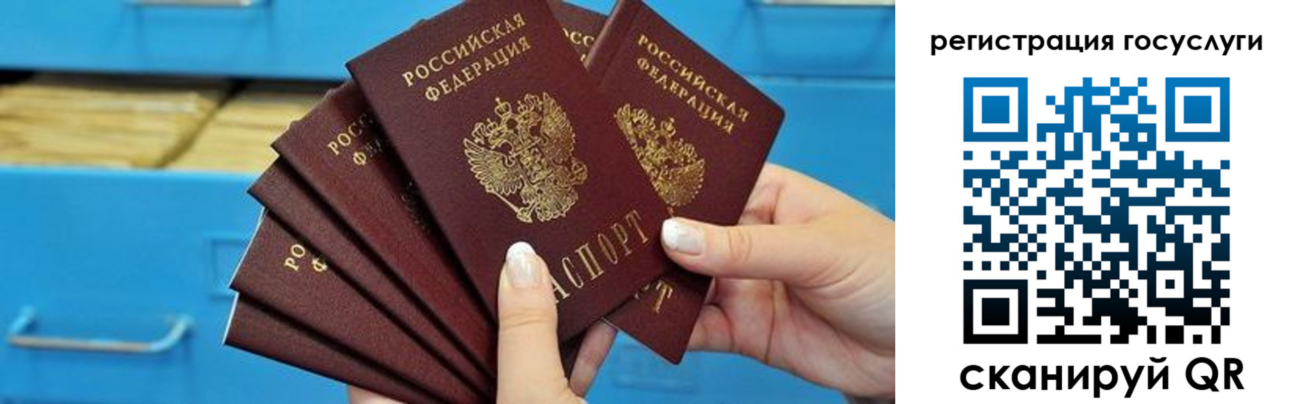 временная регистрация для всех в Мурманской области